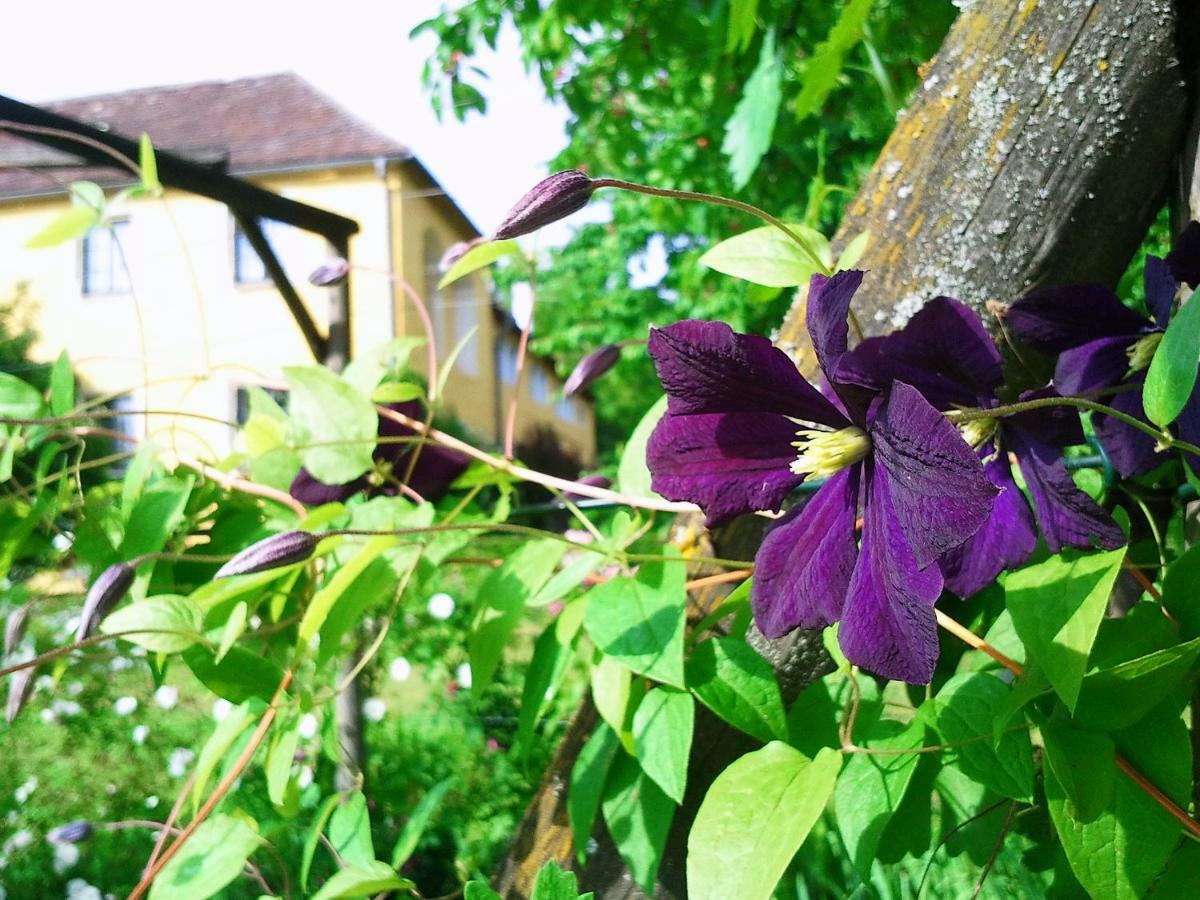 Marienschloessl Bed & Breakfast Wiedendorf Dış mekan fotoğraf